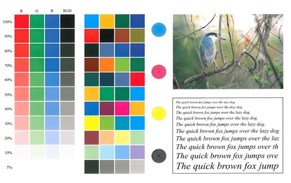 konica printer demo page